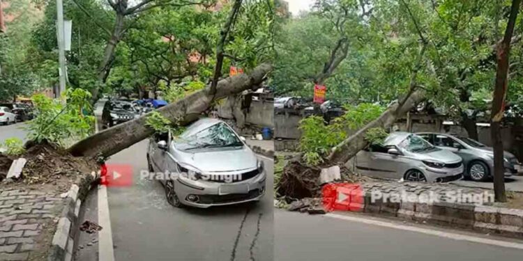 टाटा टिगोर राजेंद्र प्लेस पर पेड़ गिरा दिल्ली