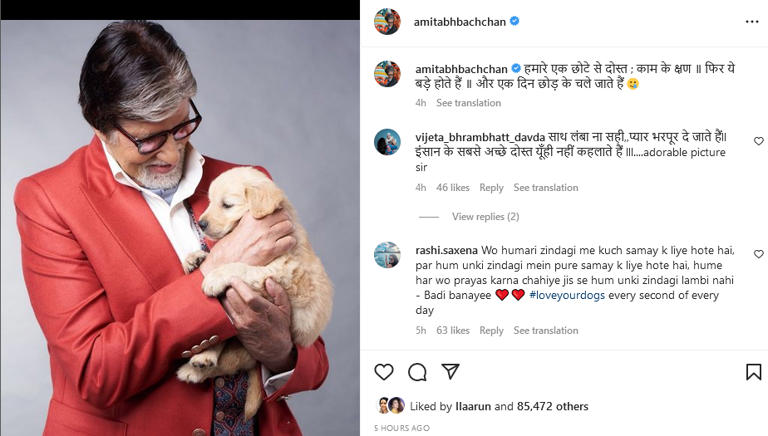 अमिताभ बच्चन: अमिताभ बच्चन के घर आधी रात को हुई इस खास सदस्य की मौत, बिग बी ने खुद दी जानकारी