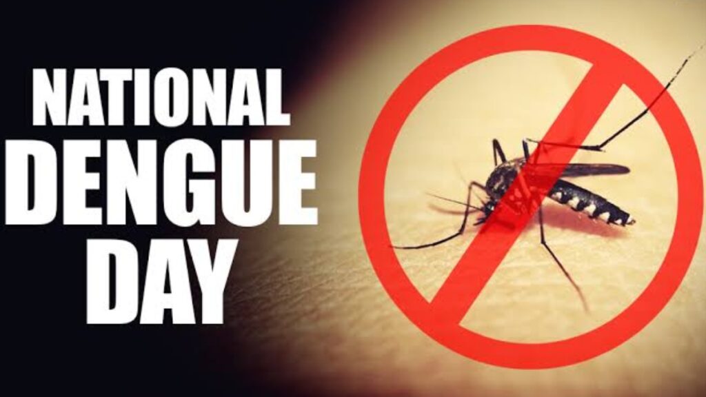 राष्ट्रीय डेंगू दिवस 2024: इस गर्मी में मच्छरों के काटने से बचने के 5 प्रभावी तरीके