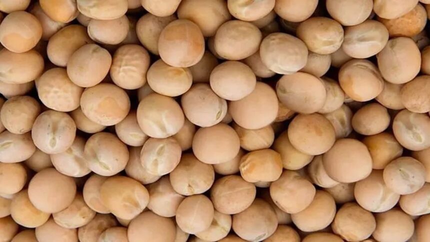 Center asks states to monitor stocks of imported yellow peas and other pulses - India TV Hindi