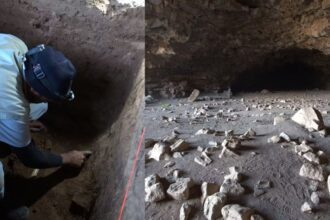First evidence of ancient human habitation found in huge lava tube cave of Saudi Arabia - India TV Hindi