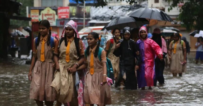 'From data from 1951 to 2023...', how will this year's monsoon be?  IMD gave big news