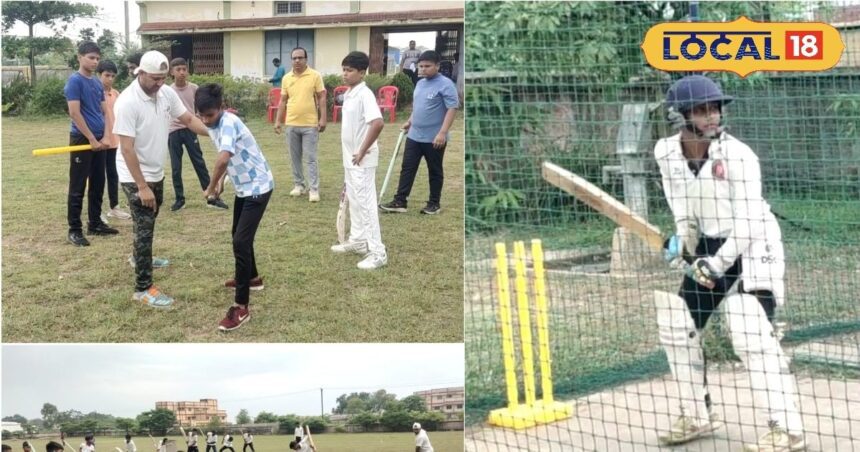 Good news for cricket lovers...summer camp organized in Chhattisgarh, application will be absolutely free