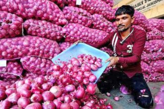 Government allowed export of 99,150 tonnes of onion to these six countries, ban was imposed last year - India TV Hindi
