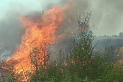Haryana: Farmer was extinguishing fire in wheat fields, died due to burns