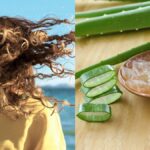 If you use aloe vera like this, dry hair will get relief, you will get hair as soft as silk - India TV Hindi