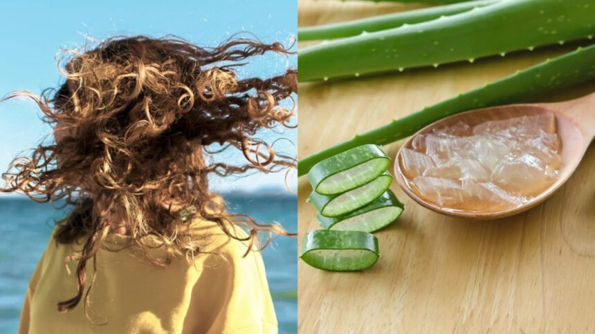 If you use aloe vera like this, dry hair will get relief, you will get hair as soft as silk - India TV Hindi
