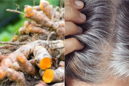 If you use raw turmeric like this, you will get rid of silver hair, ripe hair will become black - India TV Hindi