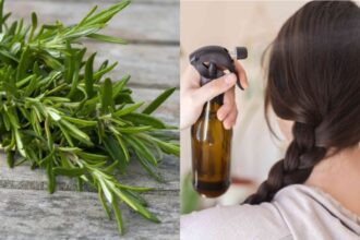 If you use rosemary mist like this, your hair will become thick very soon, know how to make this hair remedy at home?  - India TV Hindi