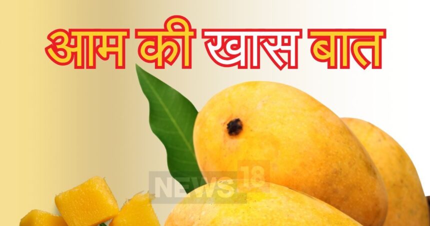 Interesting Fact: Is it necessary to soak mango in water before eating?  Know what is the right way