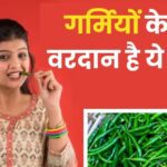 It is spicy but this green vegetable is a boon for health in summer, try including it in your diet, it will 'destroy' 5 diseases.