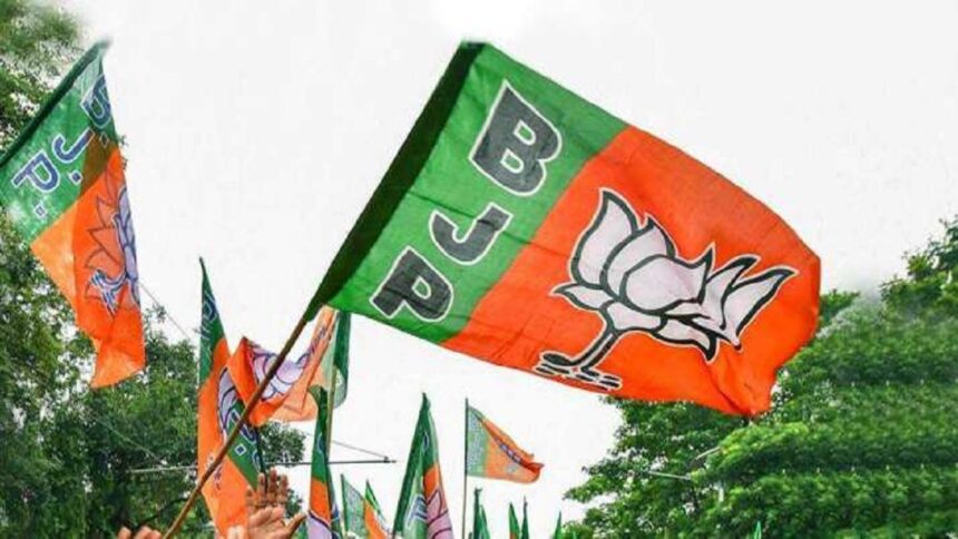 Lok Sabha Elections 2024: BJP's 10th list released, Jaiveer gets ticket from Mainpuri - India TV Hindi