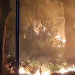 Nainital fire is not being extinguished, Indian Army helped for the second consecutive day - India TV Hindi