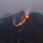 Nainital forest has been burning for 36 hours, Indian Army helicopter is busy extinguishing the fire - India TV Hindi