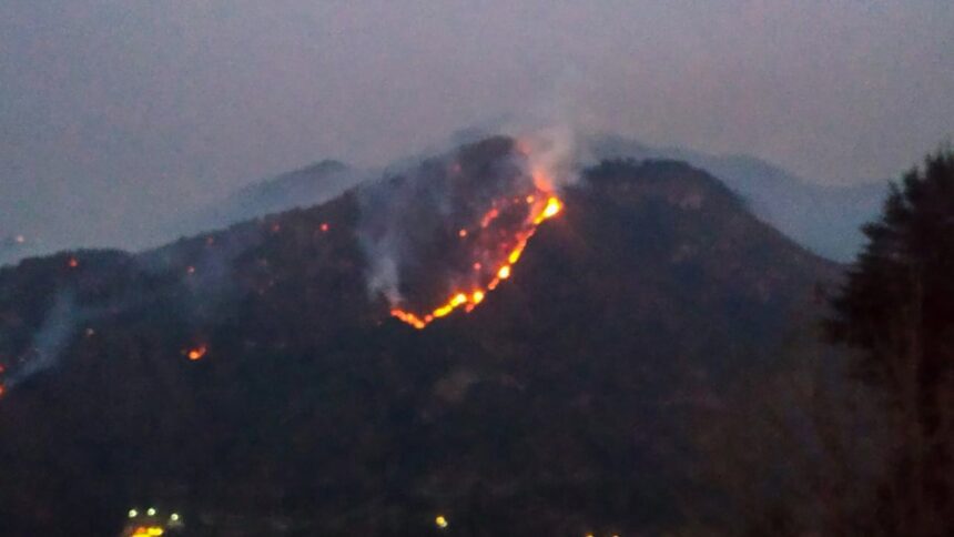 Nainital forest has been burning for 36 hours, Indian Army helicopter is busy extinguishing the fire - India TV Hindi