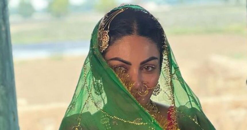 Neeru Bajwa shot her first film during pregnancy, told the biggest shortcoming of Punjabi industry - 'We are not ahead...'