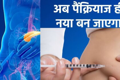 Now pancreas can also be artificial, this technology will become life saving for diabetes patients, will soon be implemented in humans
