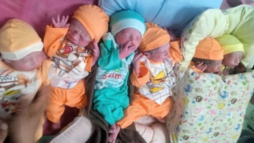 Pakistani woman gives birth to 6 children in 1 hour in Rawalpindi, know how this happened - India TV Hindi