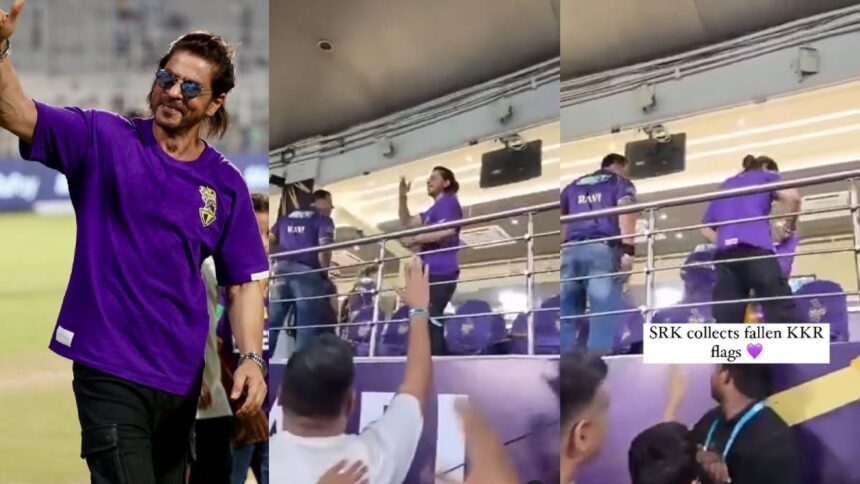 Shahrukh Khan himself was seen picking up each fallen flag of KKR, the video will touch your heart - India TV Hindi
