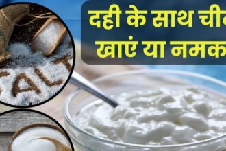 Should we eat curd with salt or sugar?  What is beneficial for health, 90% people are confused, know what Ayurveda says