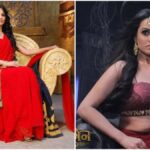 Sometimes this TV beauty became famous as 'Draupadi' and sometimes as 'Naagin', now she is away from acting - India TV Hindi