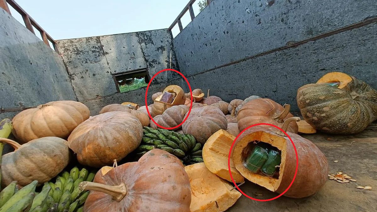 Such 'goods' were hidden in a pumpkin, when the police stopped the truck and saw it, they were shocked - India TV Hindi