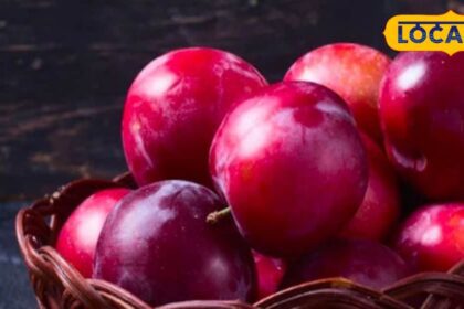 Summer Fruits: These 5 mountain fruits fulfill the shortage of water in summer, apart from giving coolness, they are a panacea for many diseases.