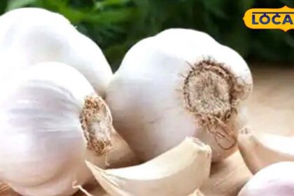 Sweet poison!  These people should not consume garlic even by mistake, instead of benefit there will be big harm.