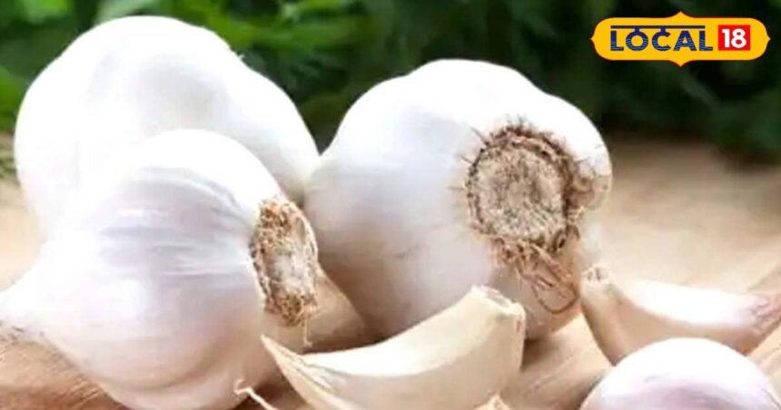 Sweet poison!  These people should not consume garlic even by mistake, instead of benefit there will be big harm.
