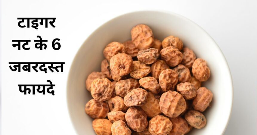 The name is Tiger Nut, its job is to make the whole body strong, regular consumption will play the band of many diseases.