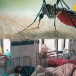 The risk of malaria is increasing, clean these things in the house otherwise the infection will spread.