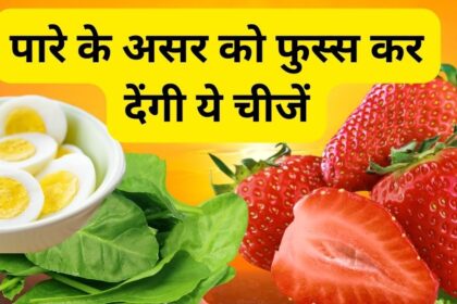 These 6 fruits and vegetables are unmatched in combating stomach heat and boiling temperature, coolness will reach every pore of the body.