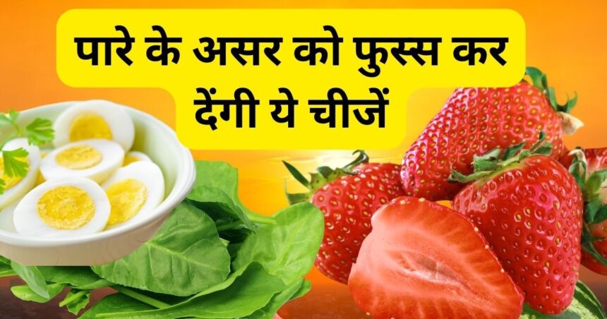 These 6 fruits and vegetables are unmatched in combating stomach heat and boiling temperature, coolness will reach every pore of the body.