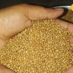 This dal is the first choice of Punjabis and Rajasthanis, eating it will make the body slim and also relieve stress.
