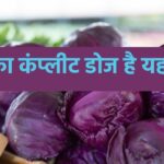 This purple colored vegetable is an ocean of nectar for health, if you consume it even once a week, the period of sorrow will go away.