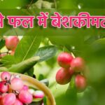 This small white-reddish fruit is very powerful, full of amazing properties for health, has the power to fight even deadly diseases.