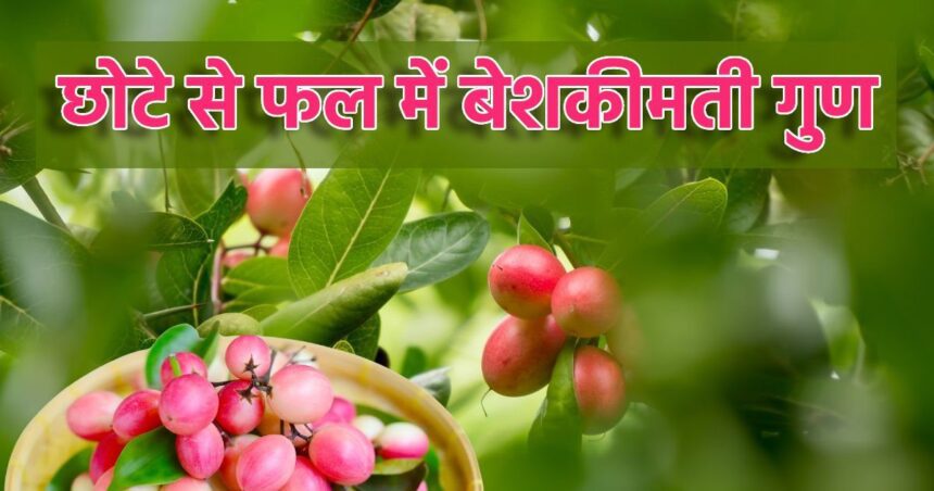 This small white-reddish fruit is very powerful, full of amazing properties for health, has the power to fight even deadly diseases.