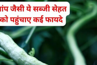 This snake-like vegetable is a panacea for diabetes patients, bring down sugar level and weight quickly, know its 5 tremendous benefits.