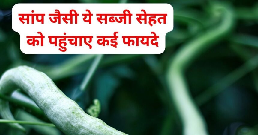 This snake-like vegetable is a panacea for diabetes patients, bring down sugar level and weight quickly, know its 5 tremendous benefits.
