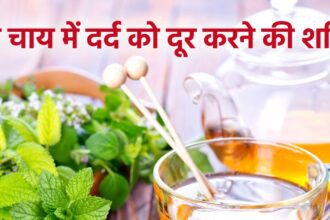 This sweet leaf tea has the boon of health, be it joint pain or stiffness, it is a panacea for everything, hormonal disorders are also cured.