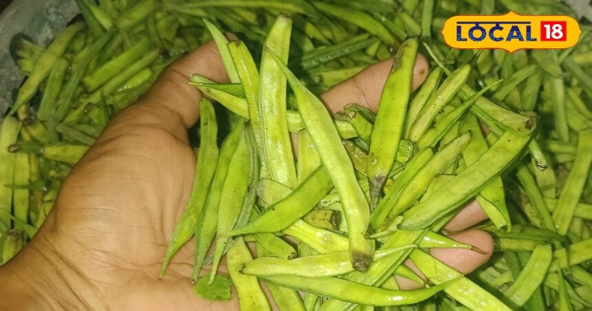 This vegetable available in summer is a super food, its leaves and powder are also no less than a boon.