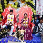VIDEO: Unique love for dogs, groom kept them with him in every wedding ritual, then... - India TV Hindi