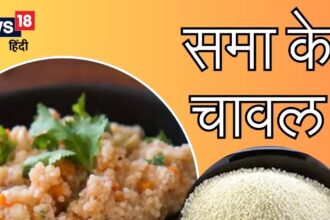 What is 'Sama rice' eaten during fasting? It is a storehouse of nutrition, even diabetics can eat it.