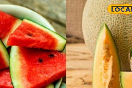 Which fruit is healthier between watermelon and melon?  Know their benefits from experts