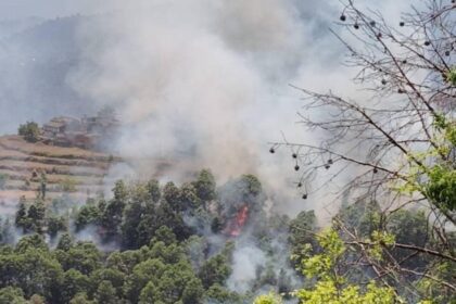 Why are forests burning in Uttarakhand?  544 fire incidents reported so far