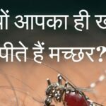 Why do mosquitoes bite you more?  Such a mass is formed on the head, it is difficult to get rid of it, know the real reason.