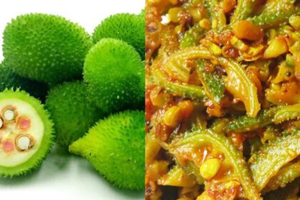You might not have eaten such a tasty vegetable of Kakoda or Forest Bitter gourd, know the recipe - India TV Hindi