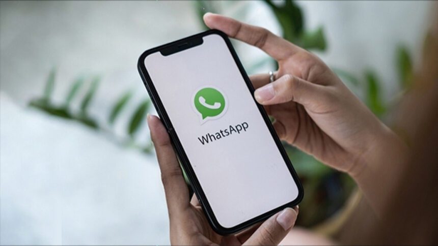 You will be able to give reaction in one click in WhatsApp Status, useful feature is coming - India TV Hindi