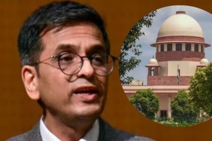 'thank God!'  When CJI DY Chandrachud said in the full court - This is a scam..., he said - High Court's decision..