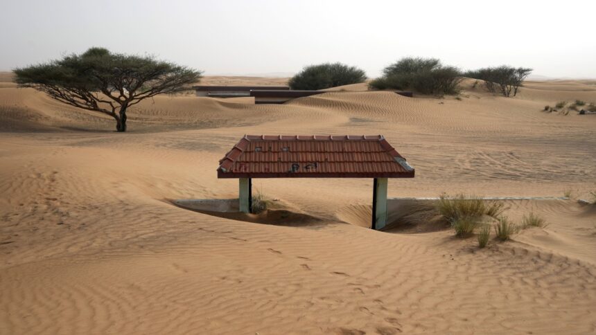 ...then the Thar Desert will look green, it's amazing!  - India TV Hindi